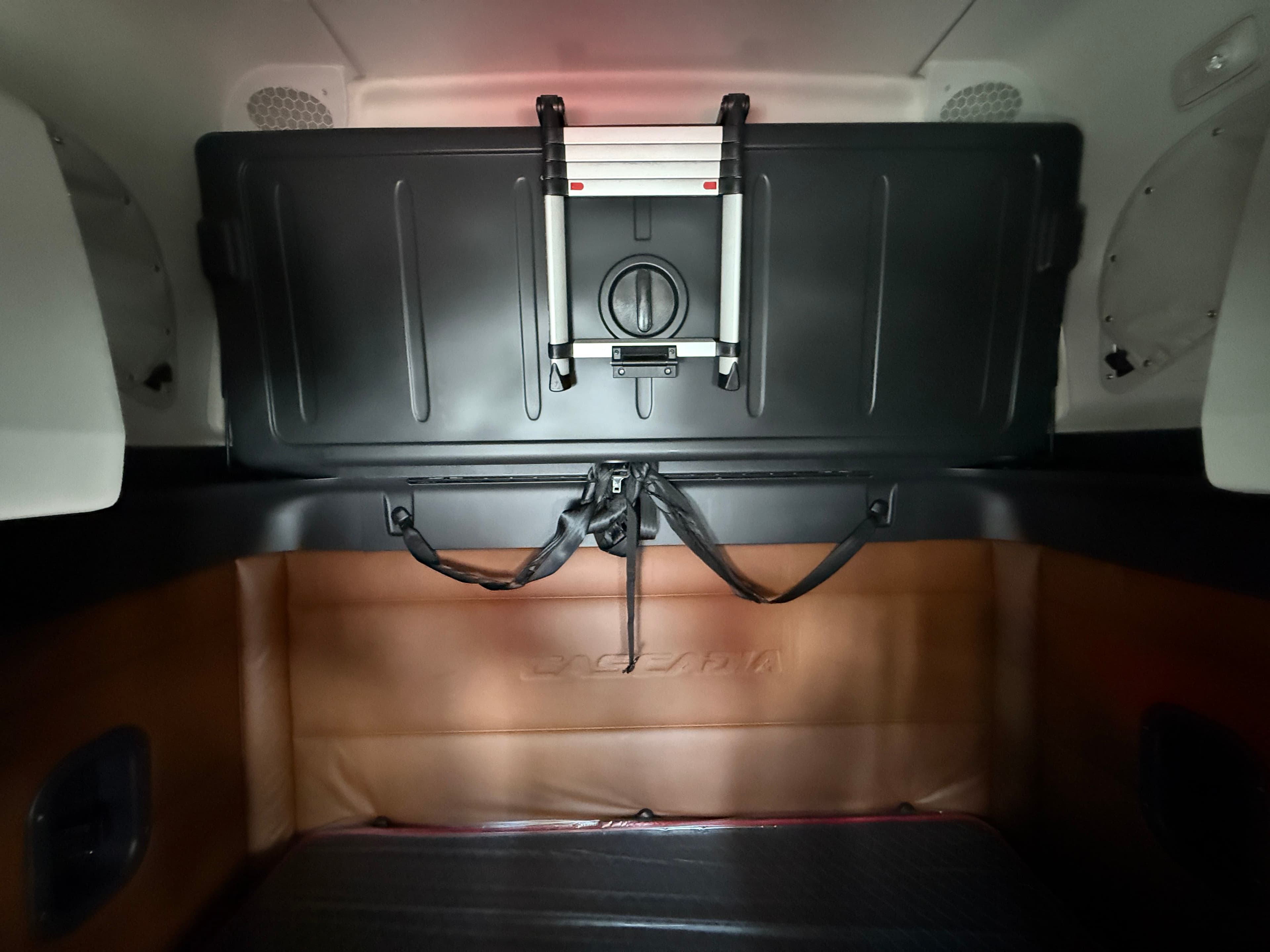 2020 Freightliner Cascadia 126 image 21