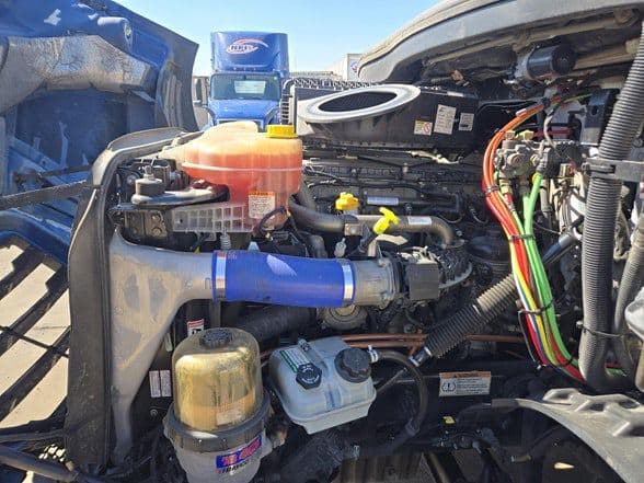 2021 Freightliner Cascadia 116 image 8