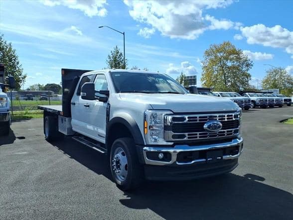 2025 Ford F550 image 1