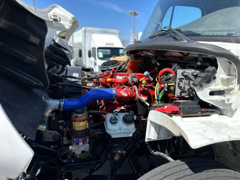 2019 Freightliner Cascadia 125 image 11