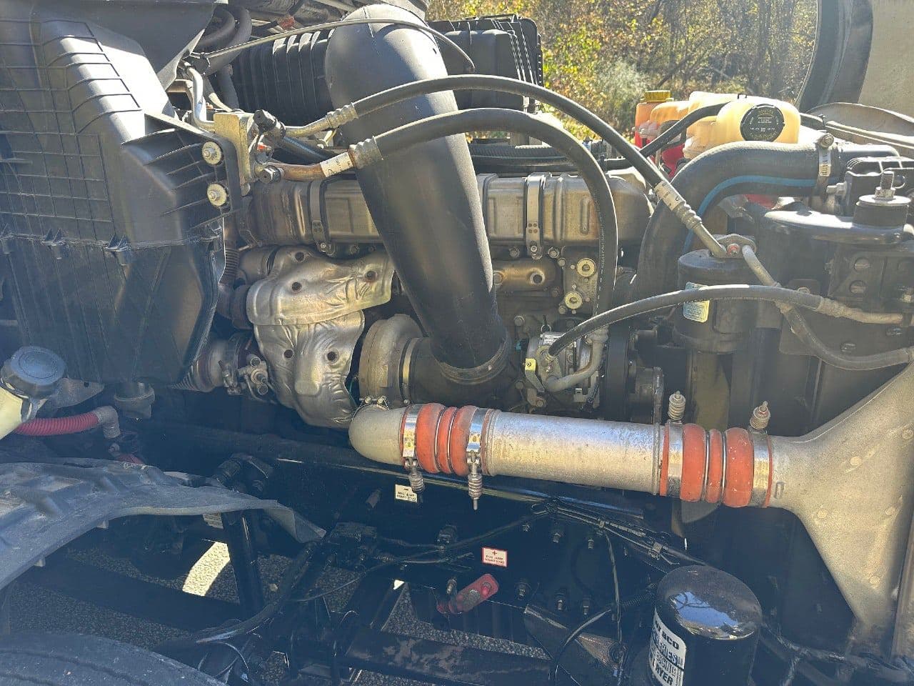 2019 Freightliner Cascadia 126 image 29