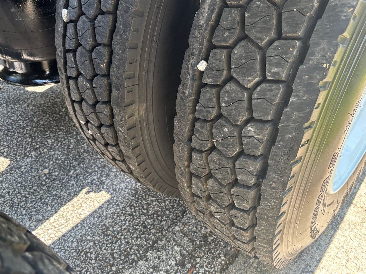 2019 Freightliner Cascadia 113 image 14