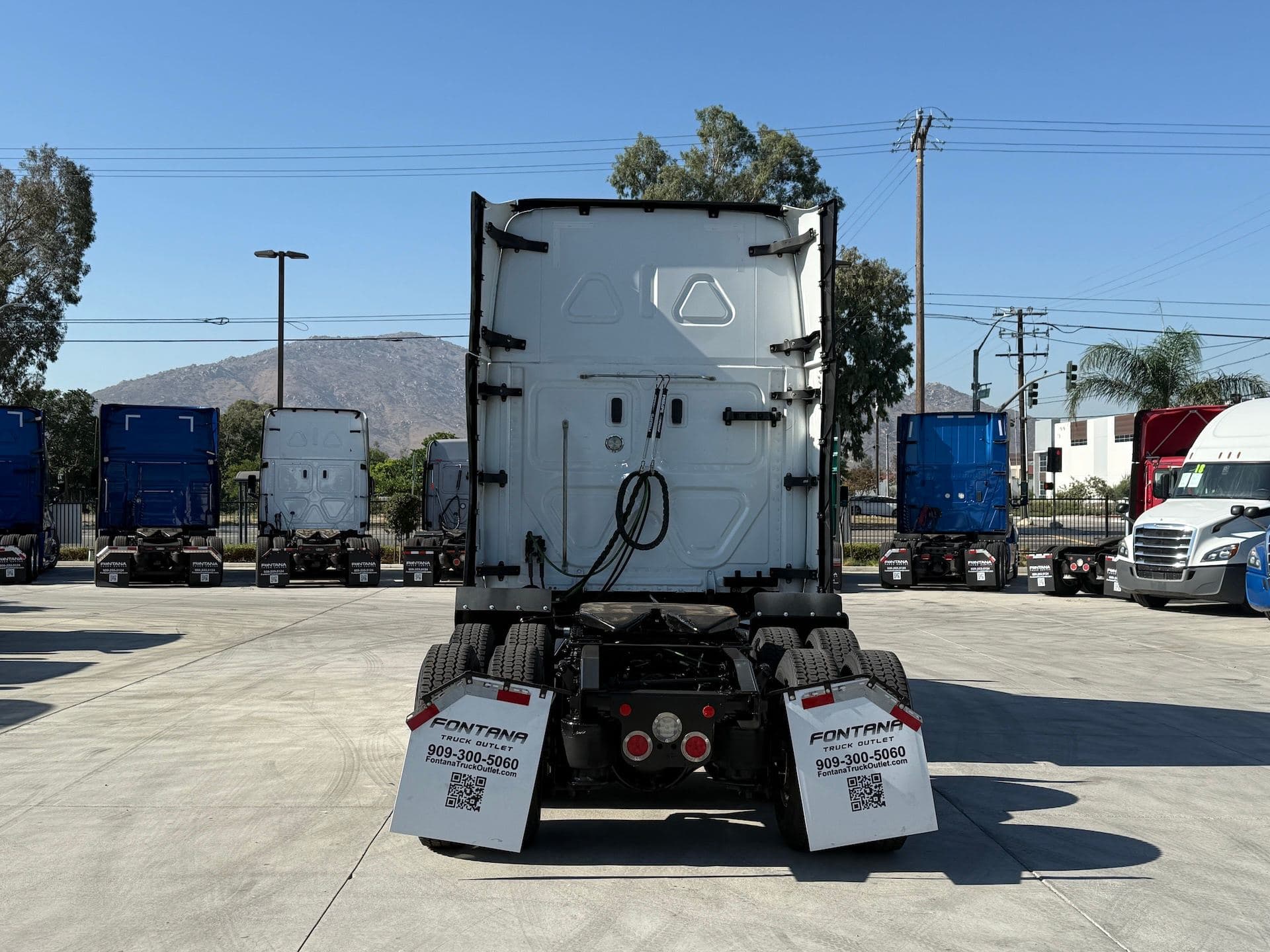 2021 Freightliner Cascadia 126 image 6