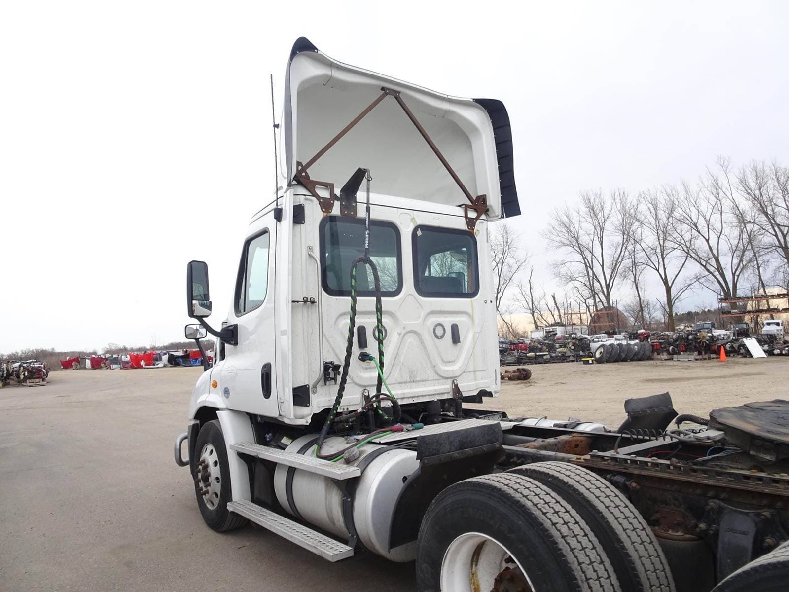 2018 Freightliner Cascadia 113 image 10
