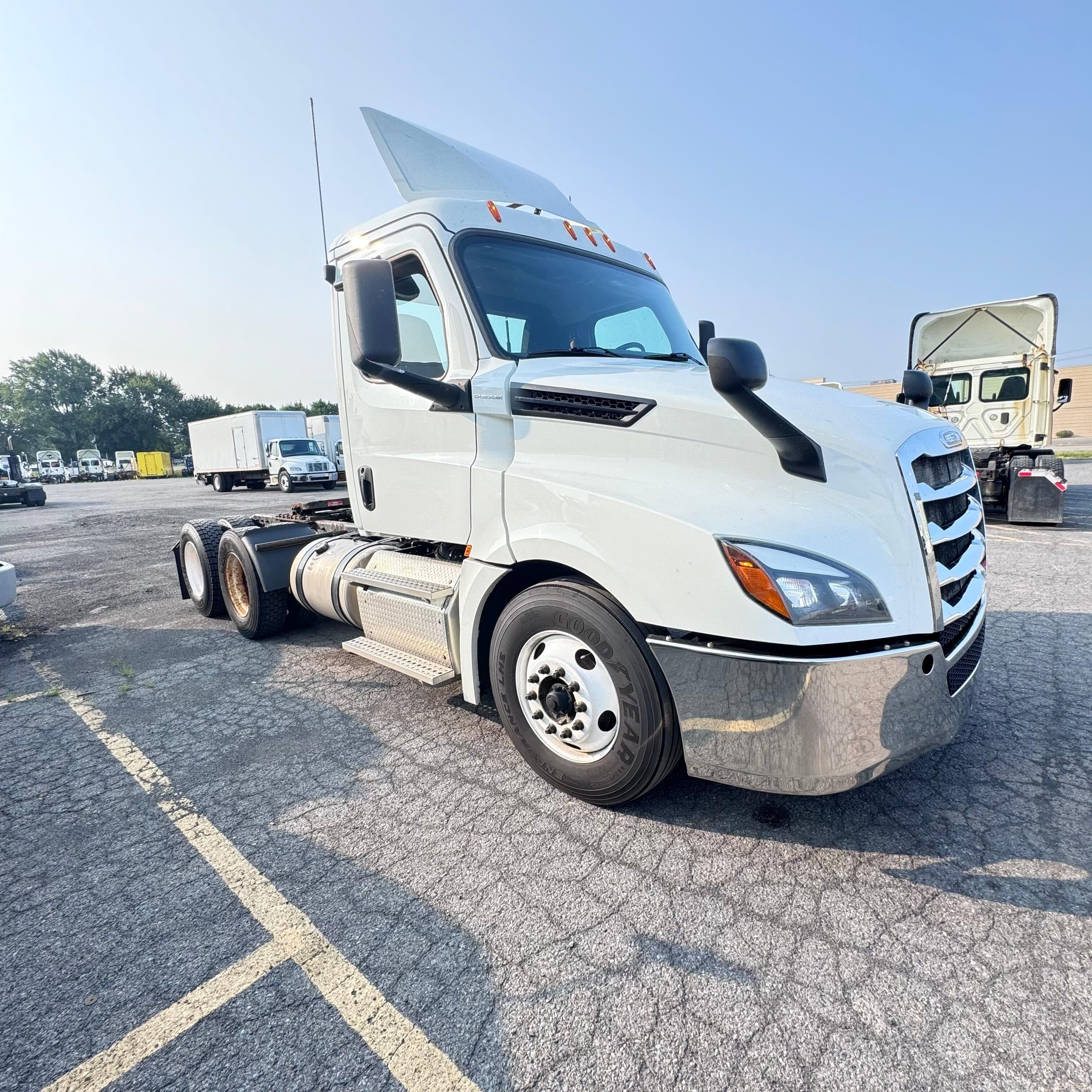 Used 2019 FREIGHTLINER Conventional - Day Cab - CASCADIA 126 For Sale image 3