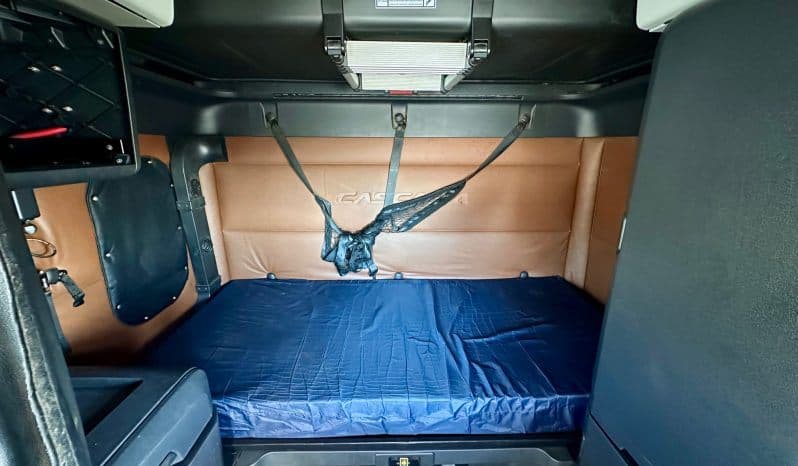 2021 Freightliner Cascadia 126 image 10