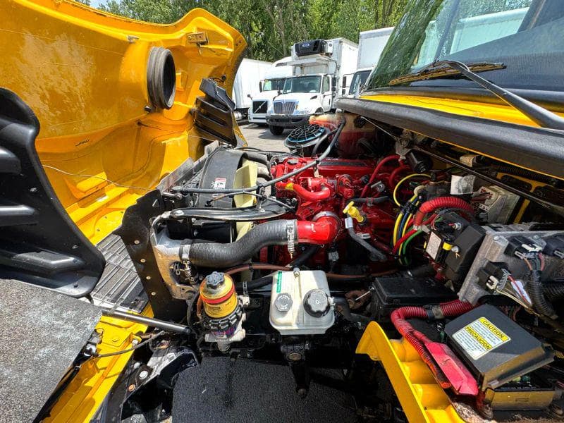 2019 Freightliner Cascadia 125 image 14