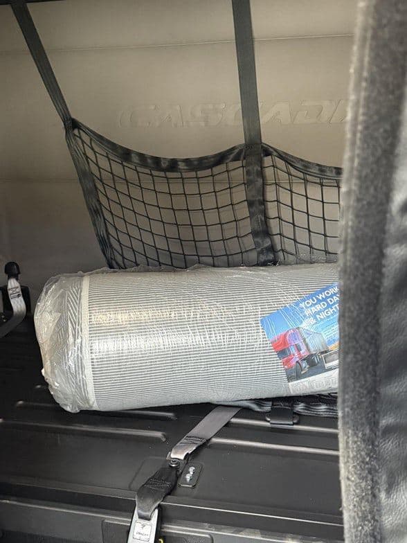 2021 Freightliner Cascadia 116 image 6