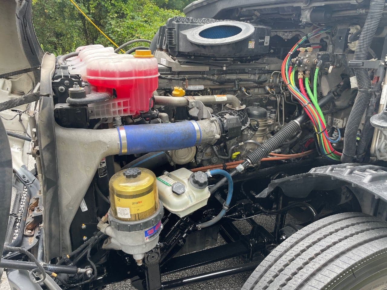 2019 Freightliner Cascadia 126 image 26