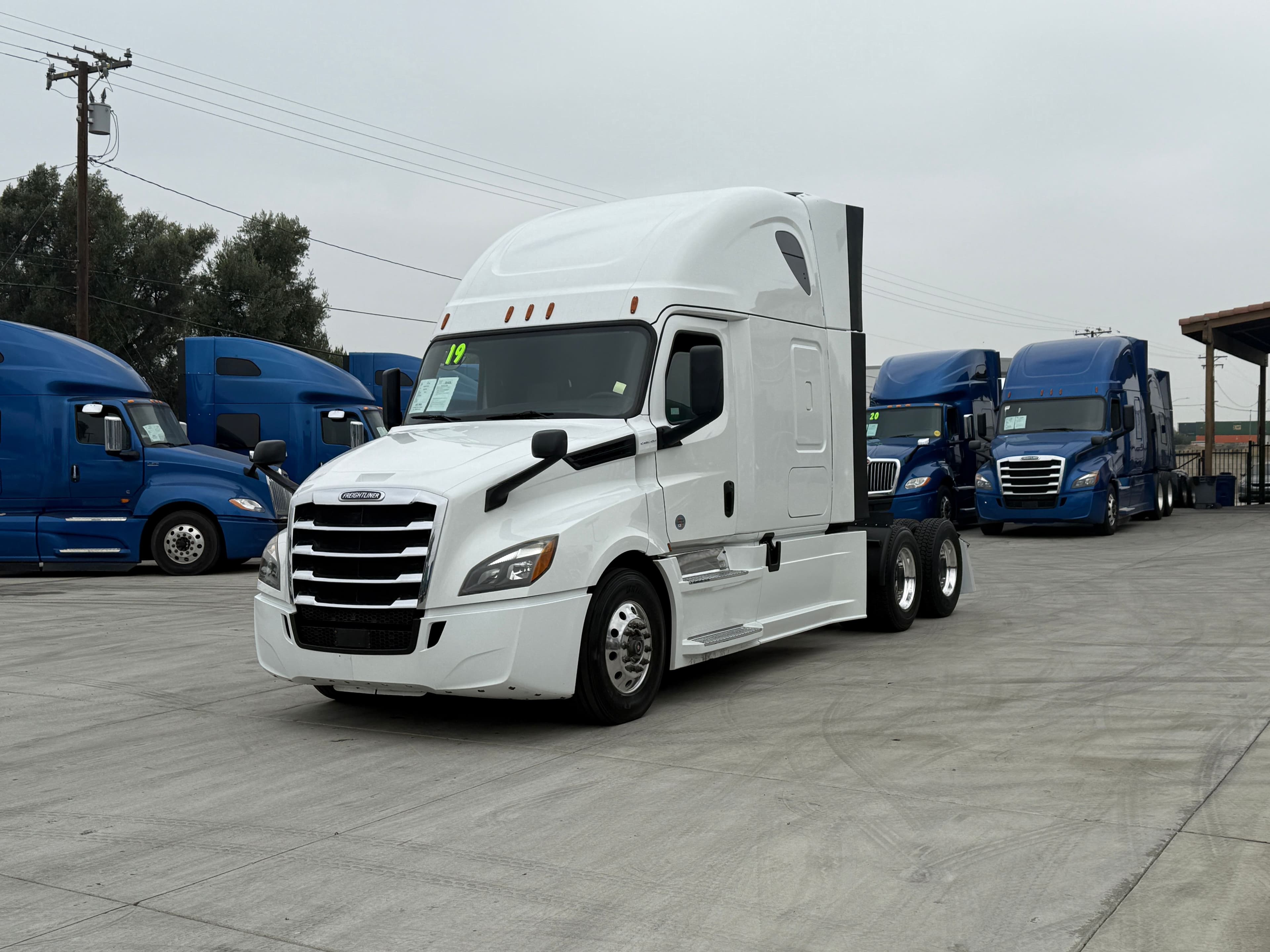 2019 Freightliner Cascadia 126 image 1