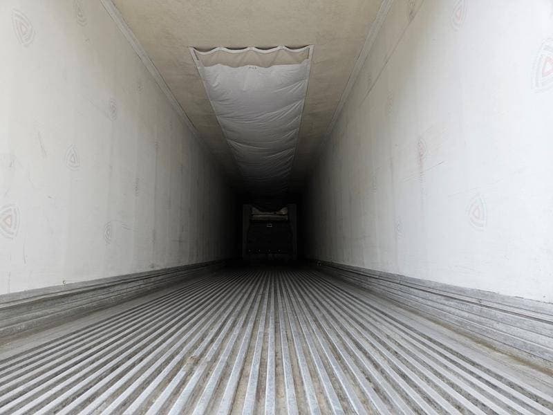 2021 Great Dane 28 PUP image 3