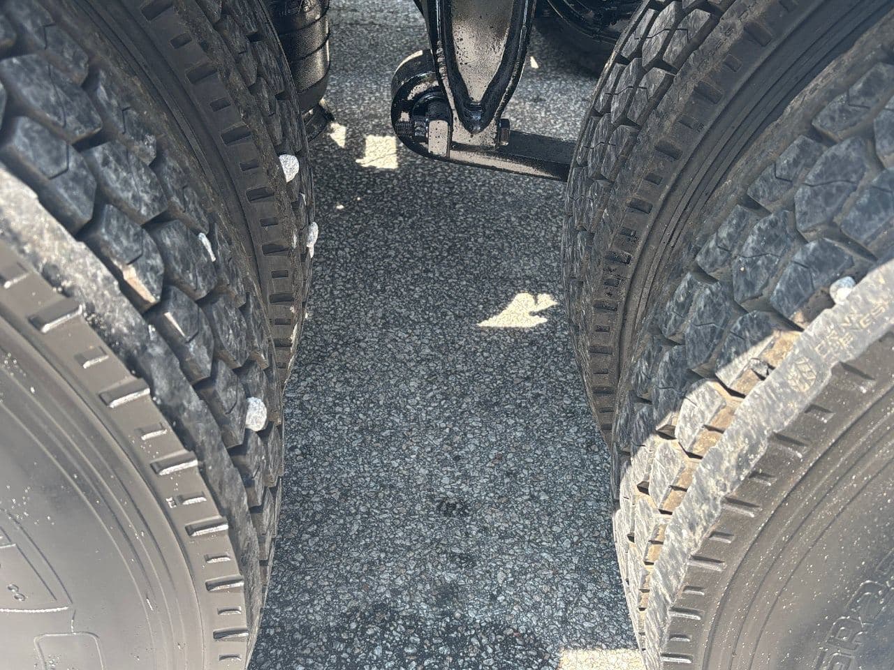 2019 Freightliner Cascadia 113 image 11