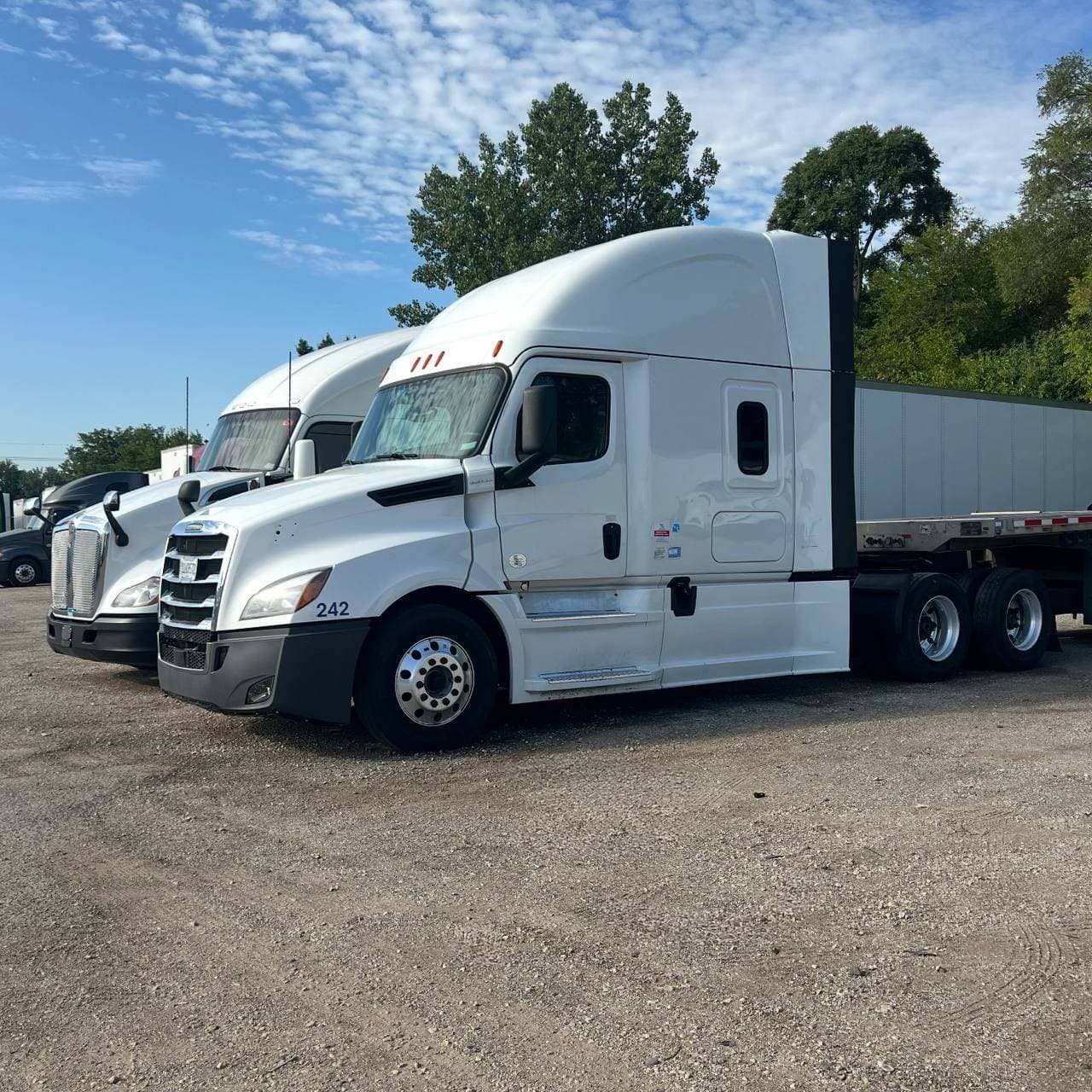 2020 Freightliner Cascadia 126 image 2