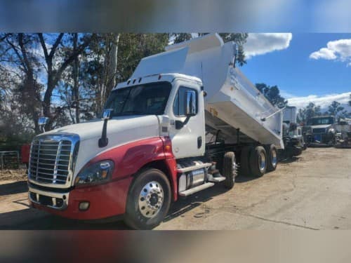 2019 Freightliner Cascadia 113