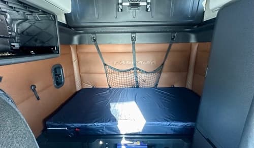 2020 Freightliner Cascadia 126 image 10