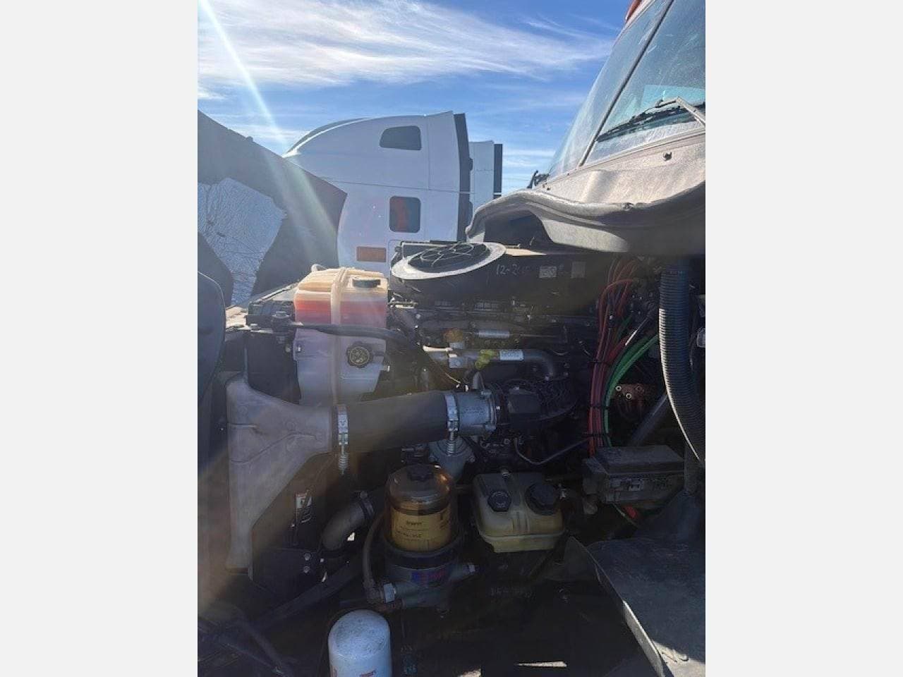 2019 Freightliner Cascadia 113 image 5